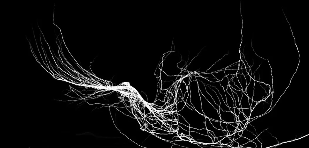 Onírica Molecular Video