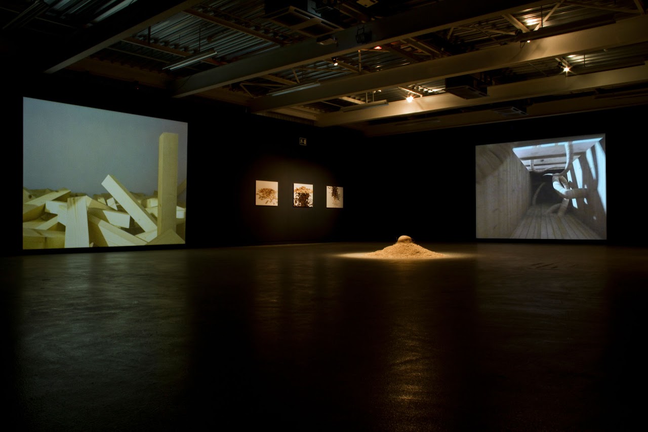Madera @ Manifesta 8 - Sergio Sotomayor