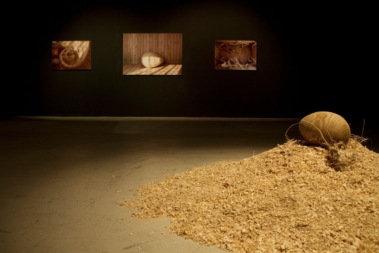 Madera @ Manifesta 8 - Sergio Sotomayor