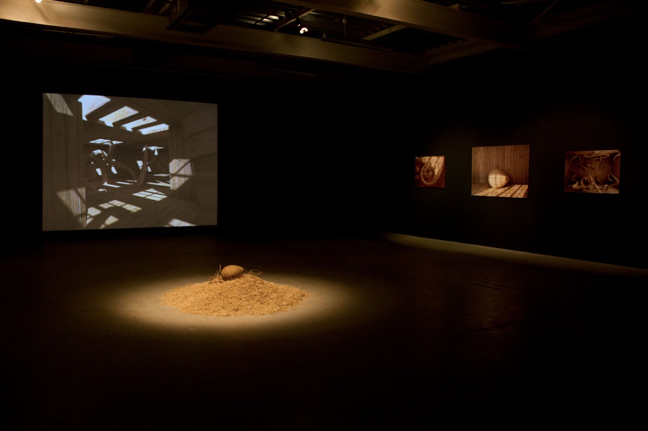 Madera @ Manifesta 8 - Sergio Sotomayor