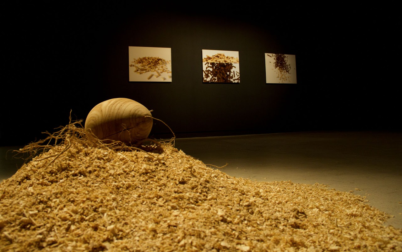 Madera @ Manifesta 8 - Sergio Sotomayor