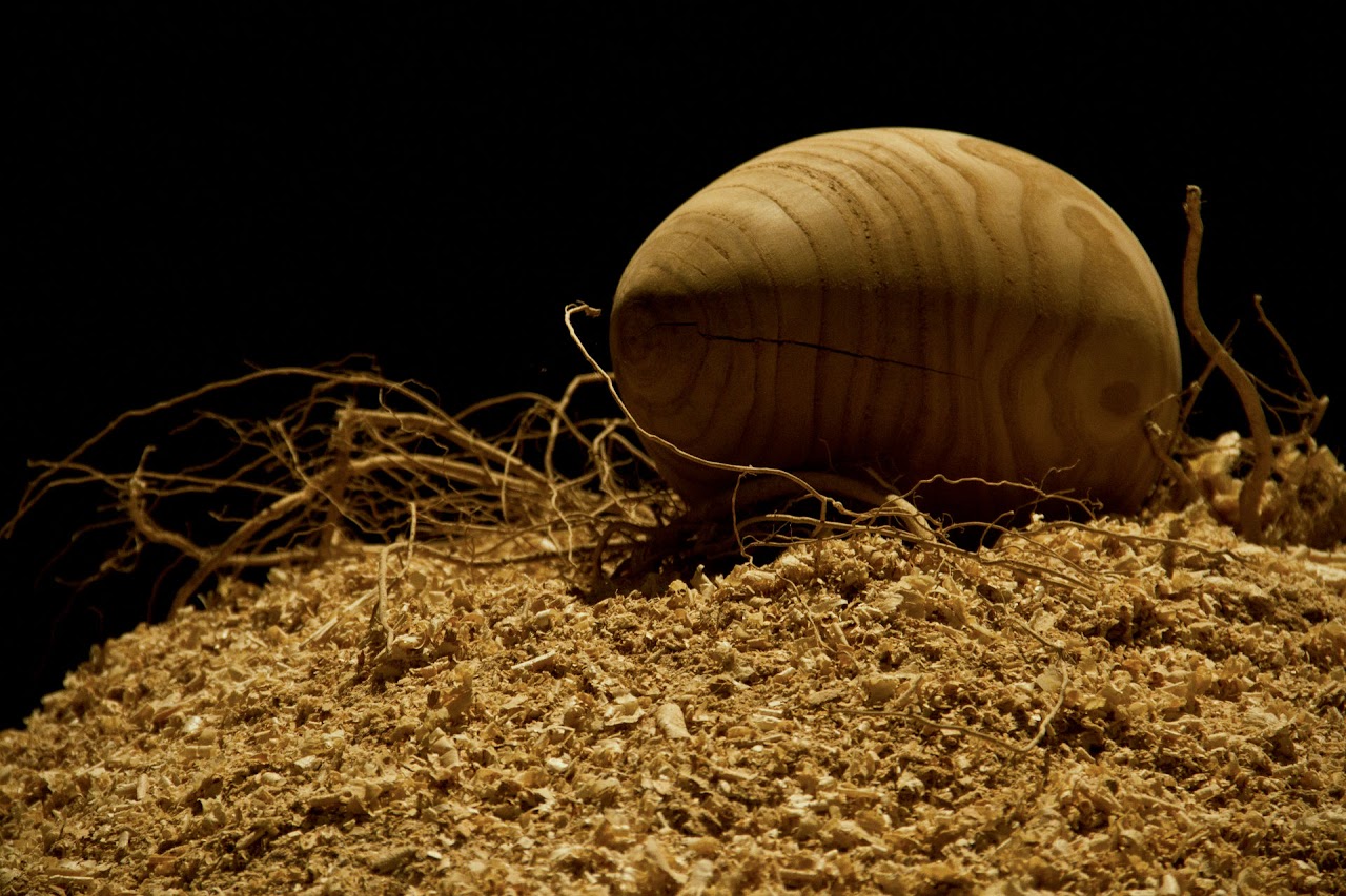 Madera @ Manifesta 8 - Sergio Sotomayor