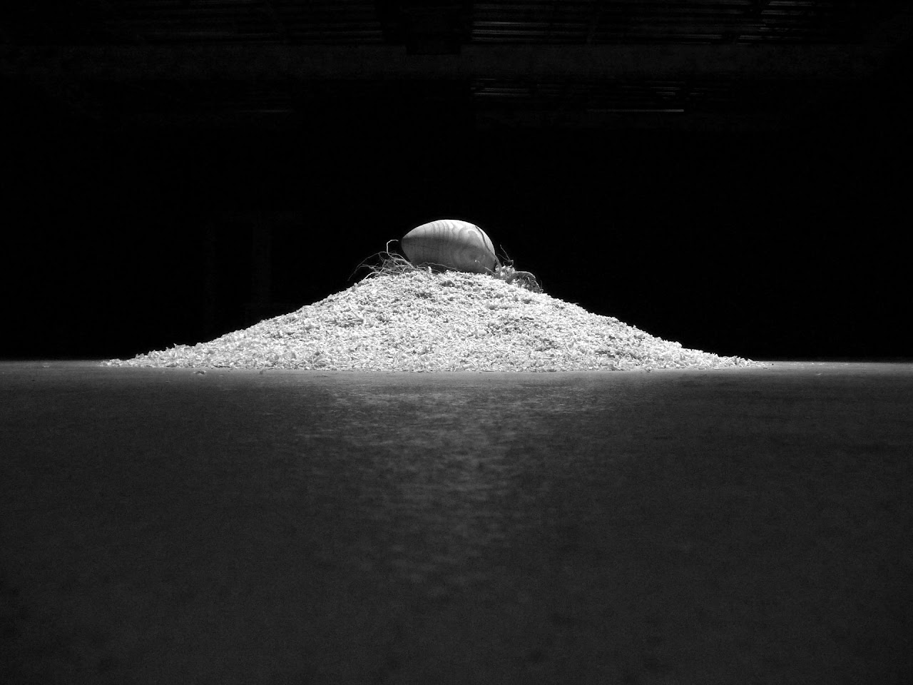 Madera @ Manifesta 8 - Sergio Sotomayor