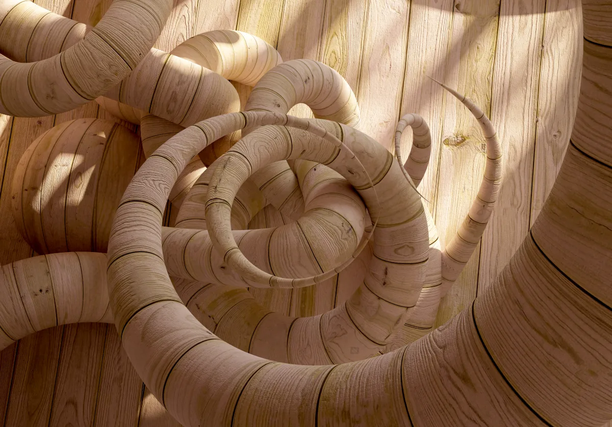 Madera Eclosión - Sergio Sotomayor